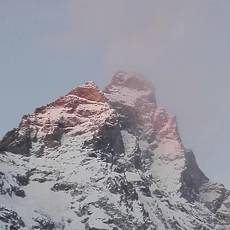 Mansarda Royal Lejlighed *